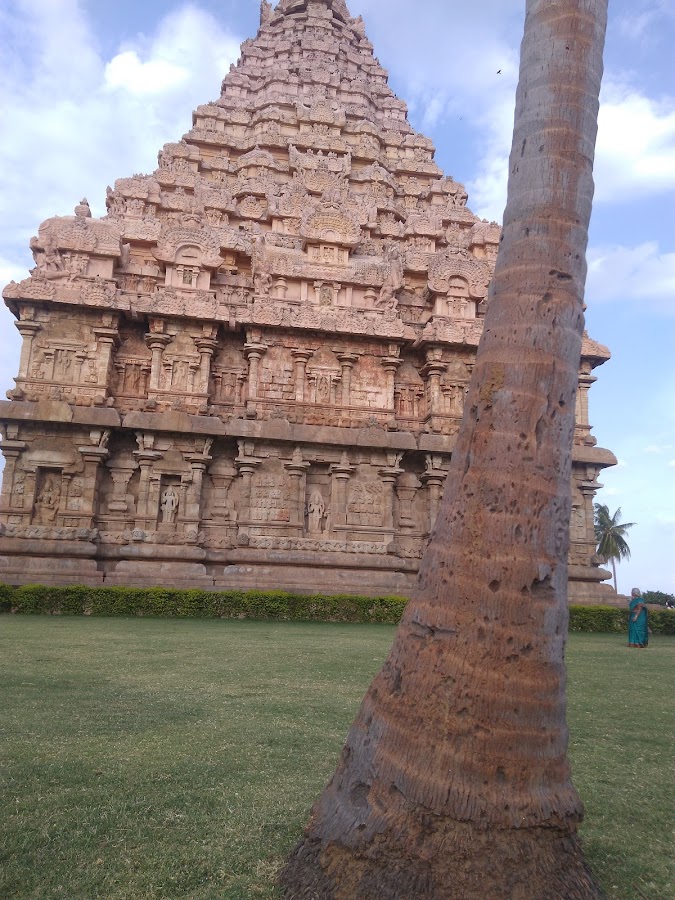 Kattumannarkoil Village - Photo 4