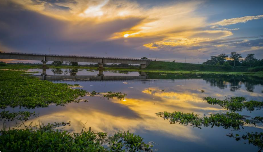 Majuli Island