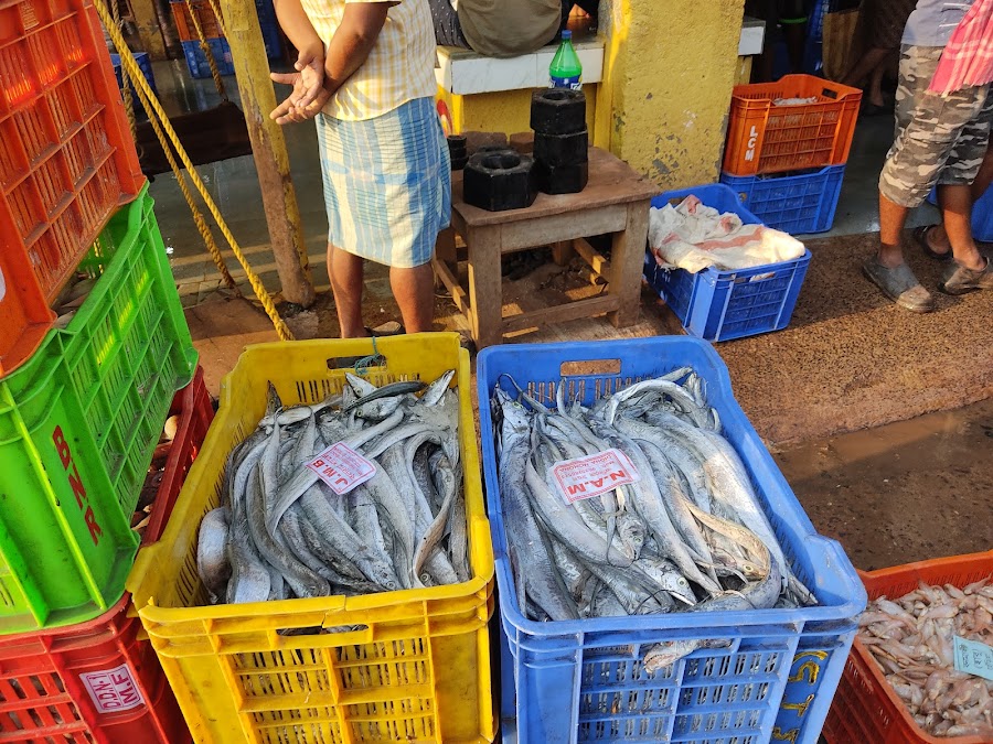 Mohana (Fishing Harbour) - Photo 6