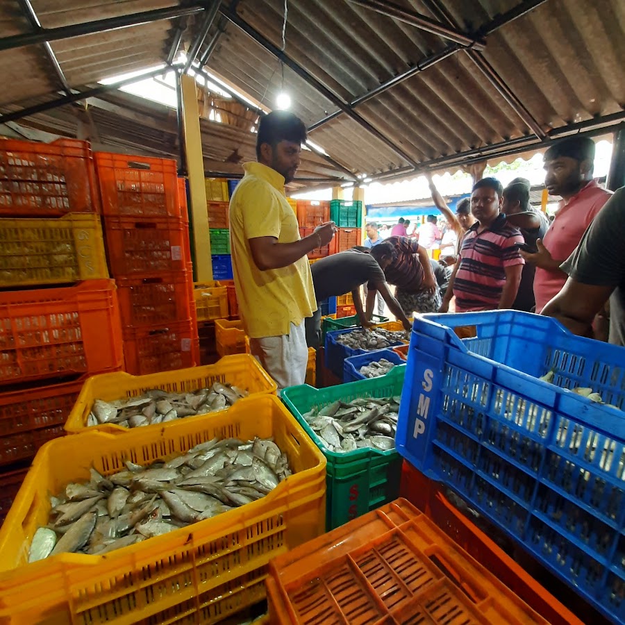Mohana (Fishing Harbour) - Photo 3