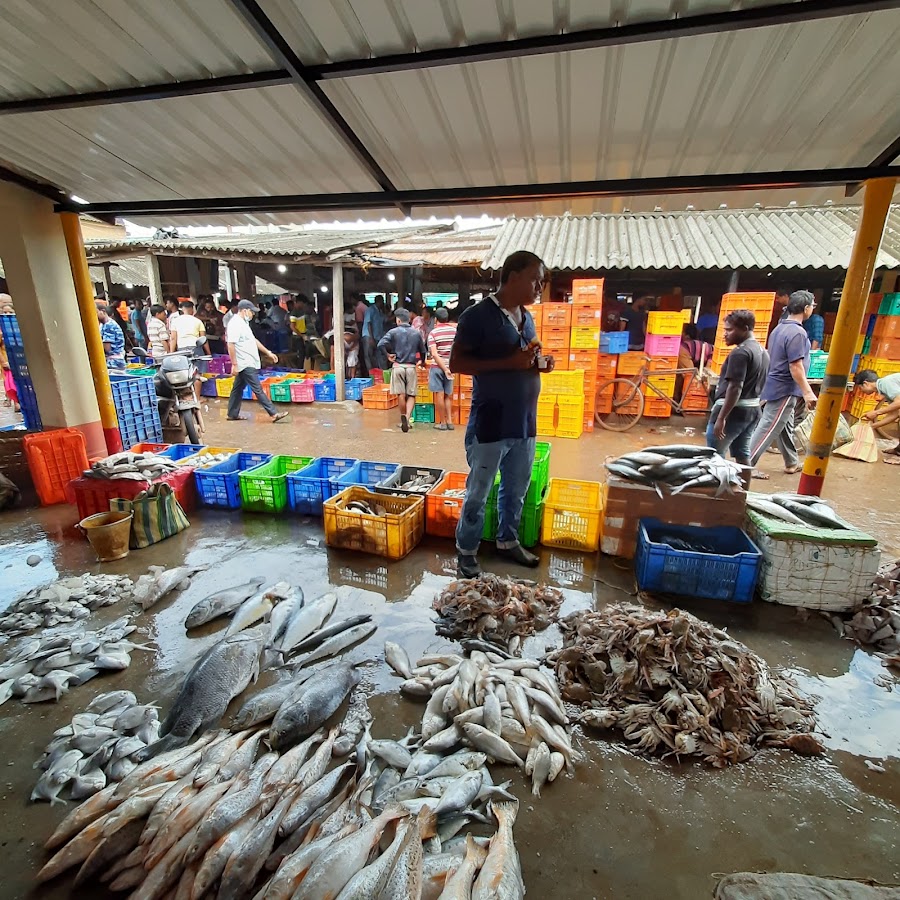 Mohana (Fishing Harbour) - Photo 9
