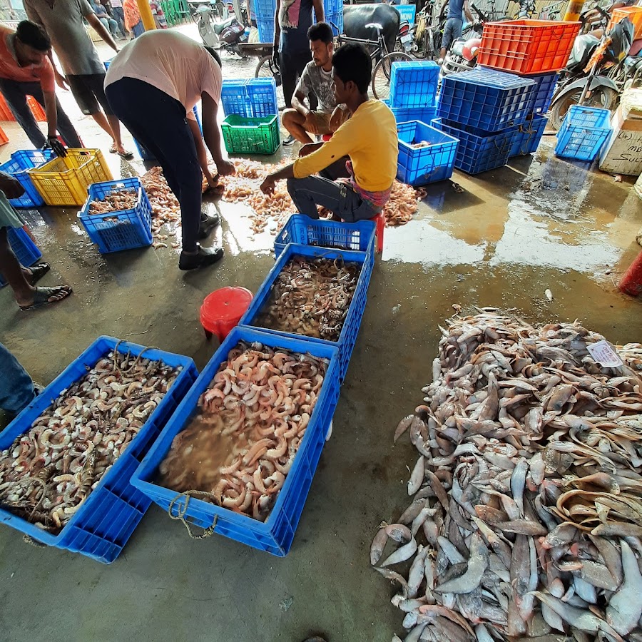 Mohana (Fishing Harbour) - Photo 2