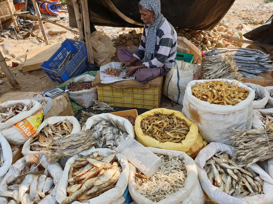 Mohana (Fishing Harbour) - Photo 10