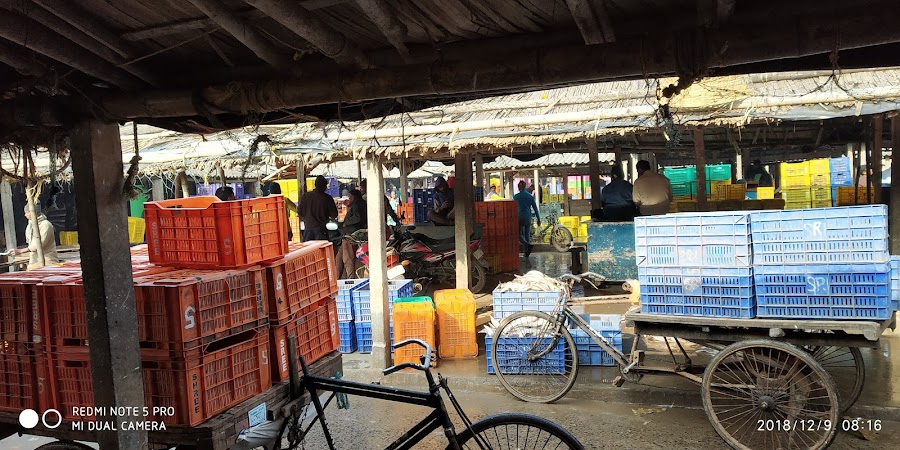 Mohana (Fishing Harbour) - Photo 7