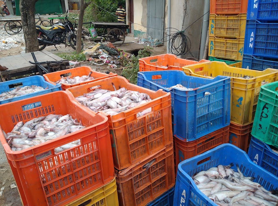 Mohana (Fishing Harbour) - Photo 5