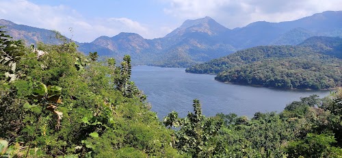 Nelliyampathy - Photo 4