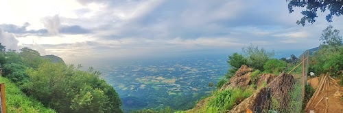 Nelliyampathy - Photo 5