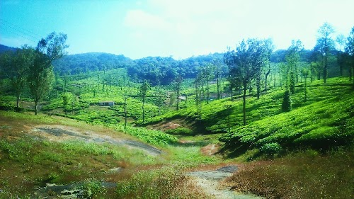Nelliyampathy - Photo 3