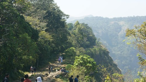 Nelliyampathy - Photo 2