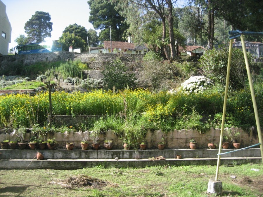 Botanical Garden - Photo 2