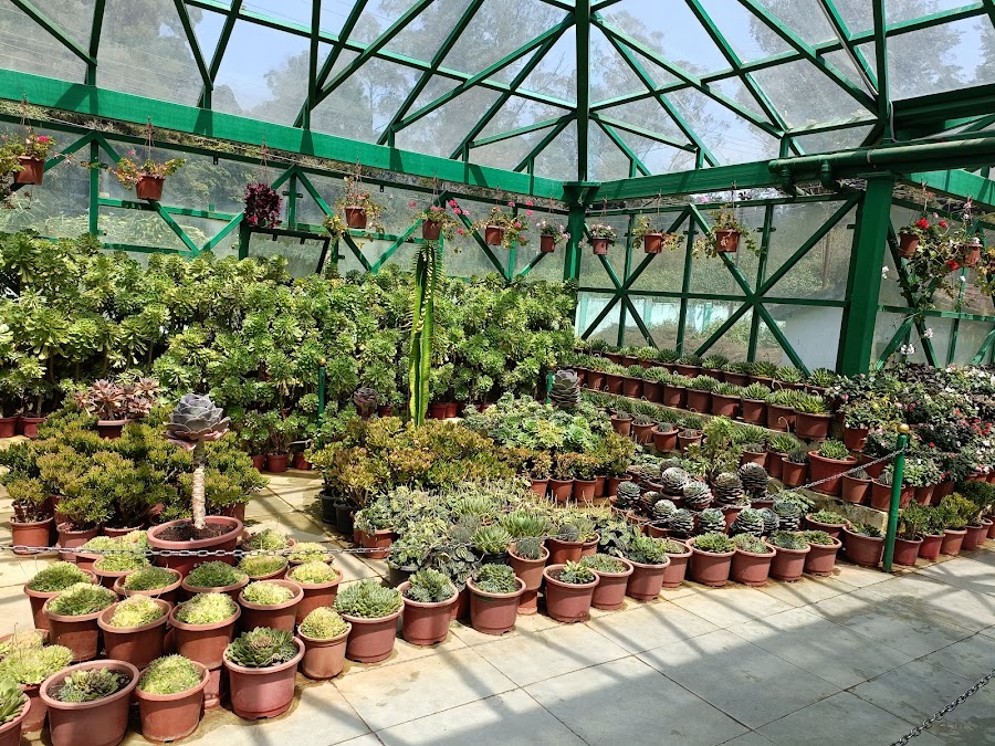 Botanical Garden - Photo 4