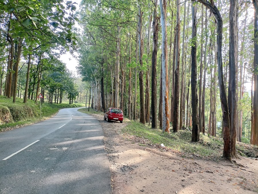 Wayanad Wildlife Sanctuary - Photo 4