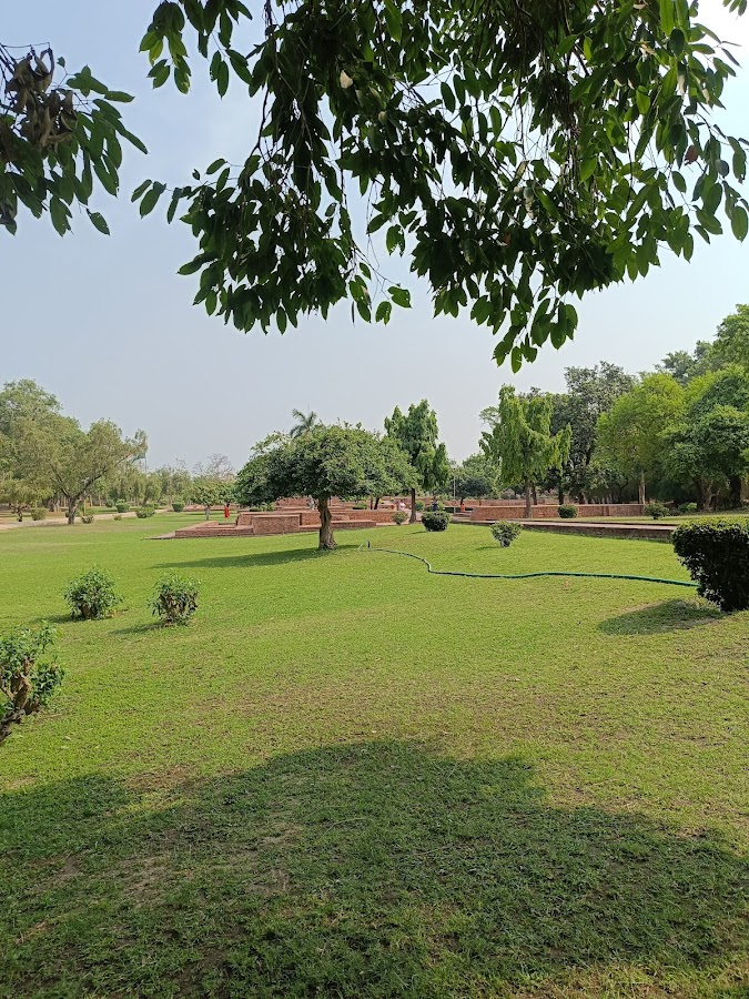 Ananda Bodhi Tree