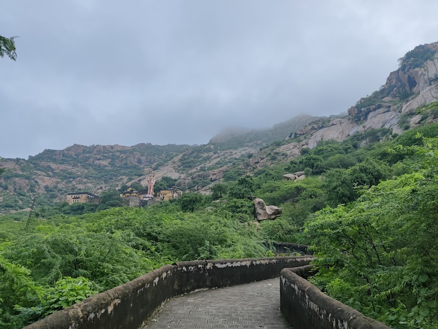 Dhosi Hill - Photo 4