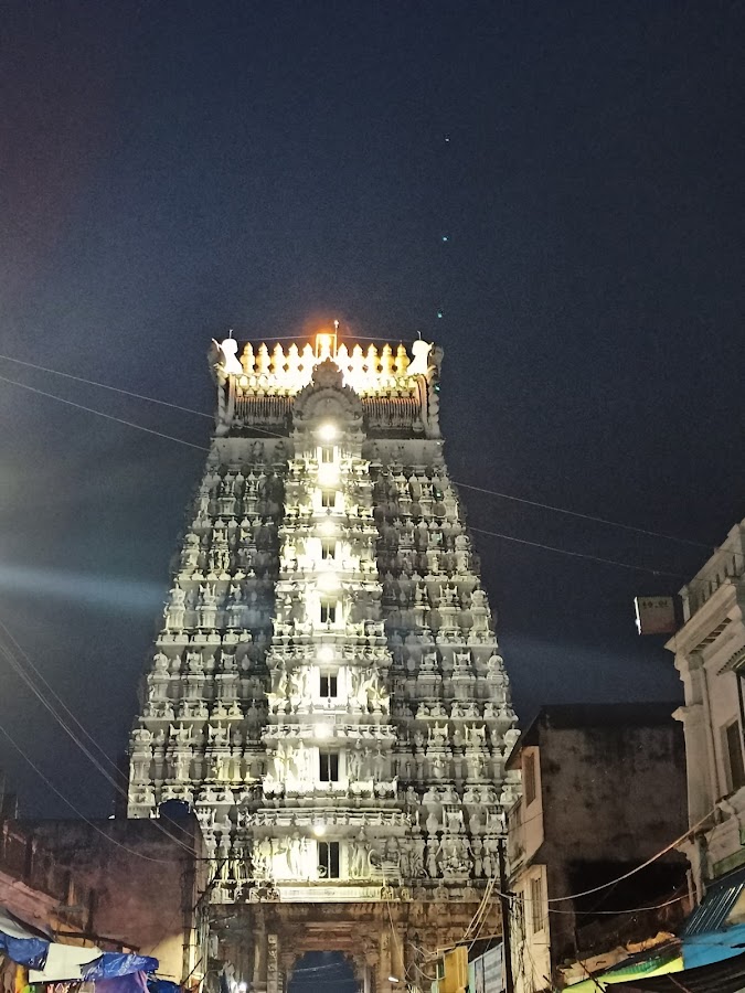 Sri Govindaraja Swamy Temple - Photo 3