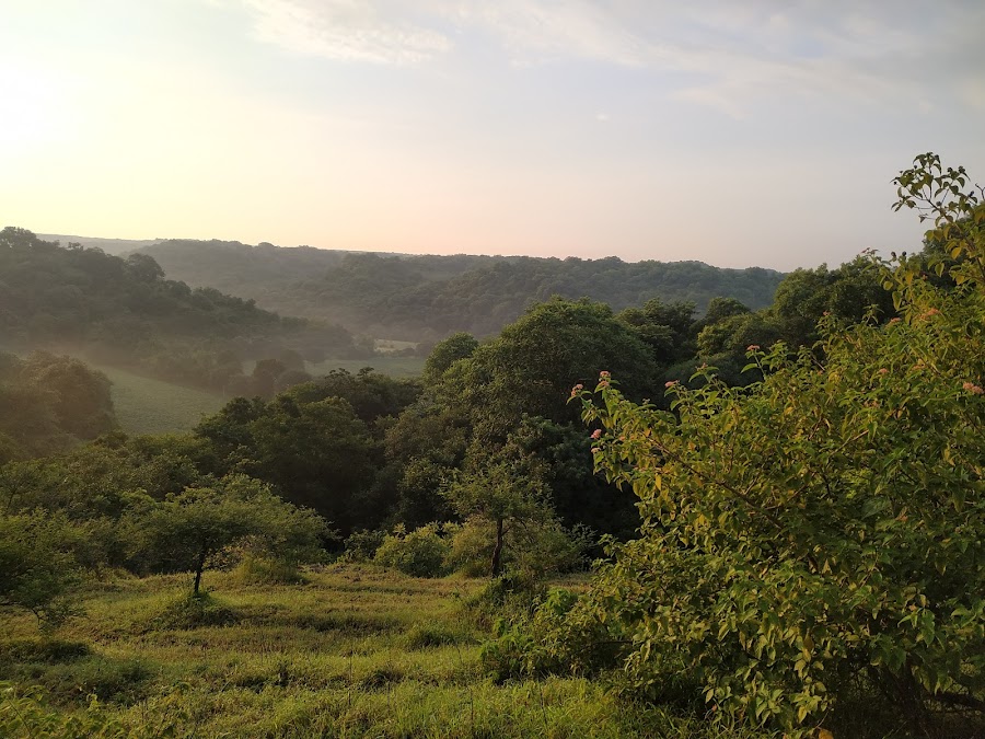 Yedshi Ramling Ghat Sanctuary - Photo 2
