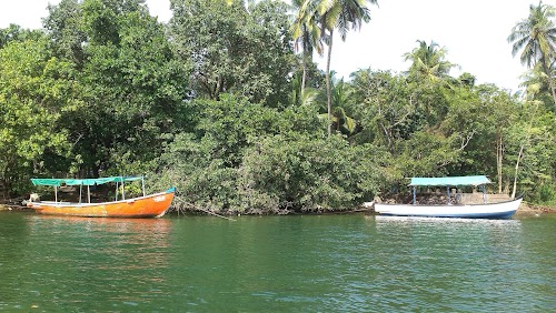 Tarkarli - Photo 3
