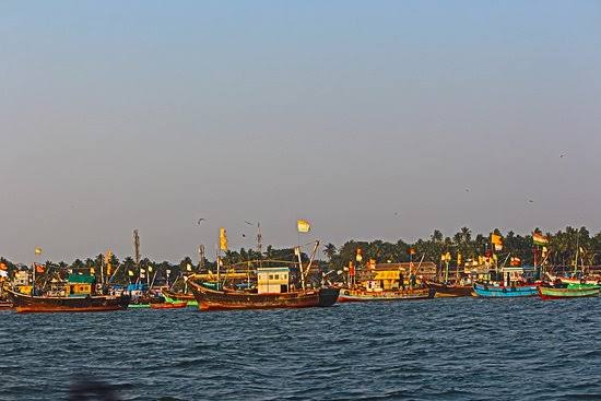 Dhamapur Lake - Photo 2