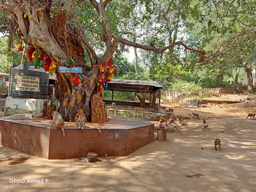 Hatakeswaram - Photo 3