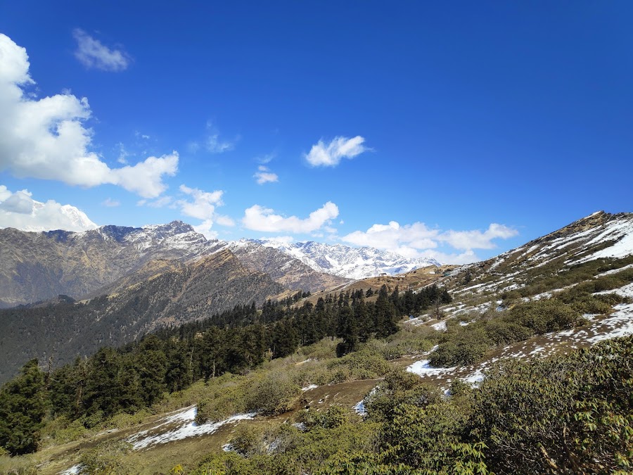 Chandrashila Trek - Photo 6
