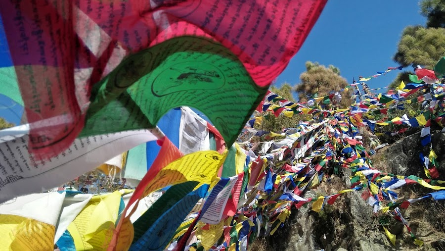 Rewalsar Monastery - Photo 4