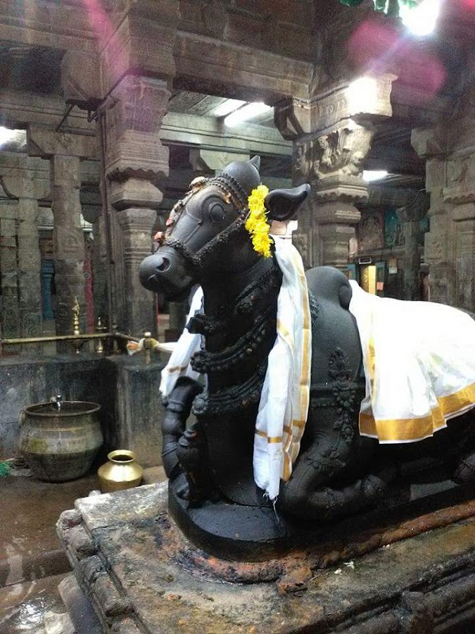 Sivasailam Temple - Photo 3