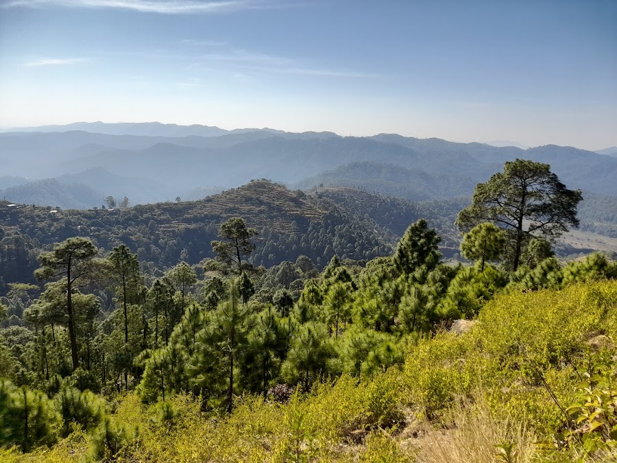 Garhwali Mess - Photo 6