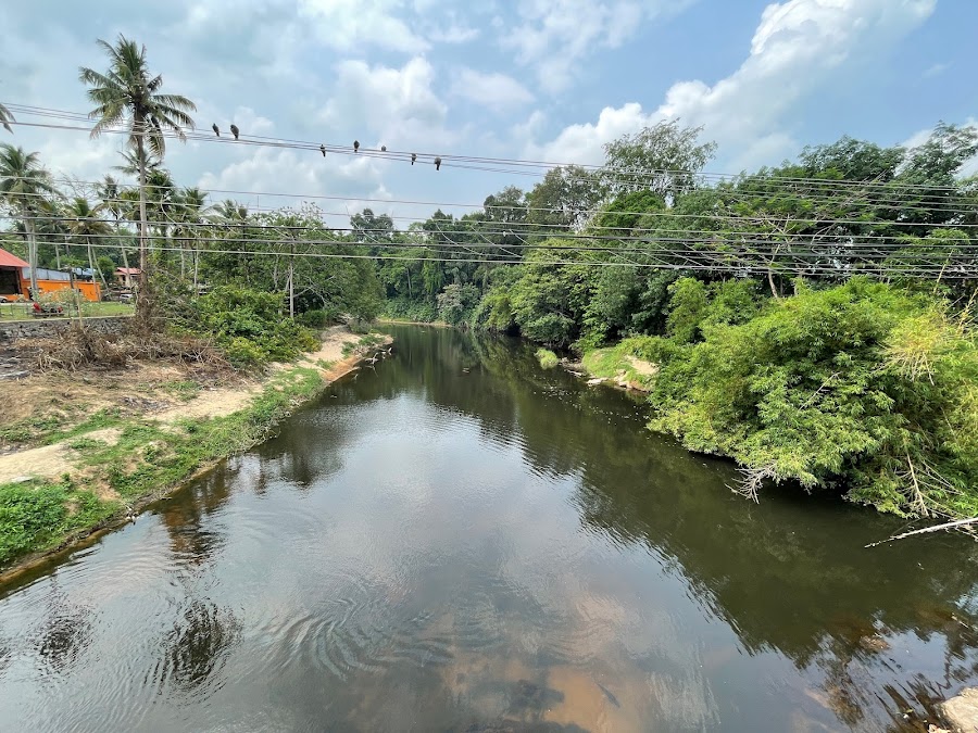 Kulathupuzha Sastha Temple - Photo 4