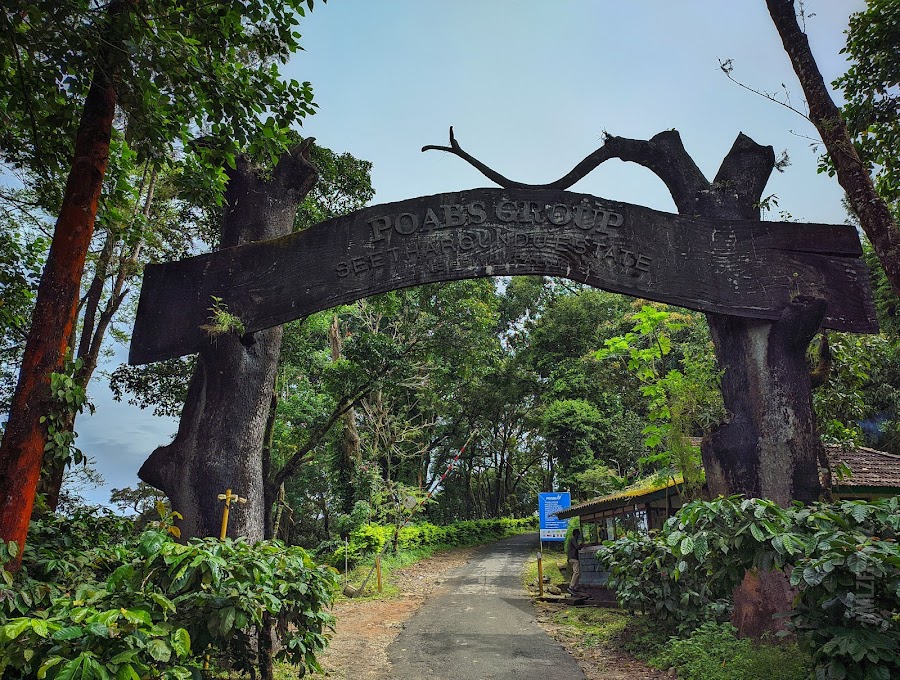 Poabs Organic Estate - Photo 3