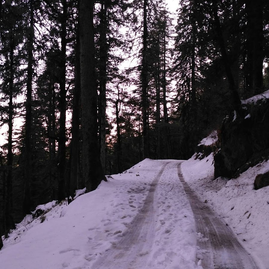 Deoban - Photo 2