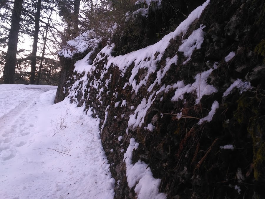 Deoban - Photo 3