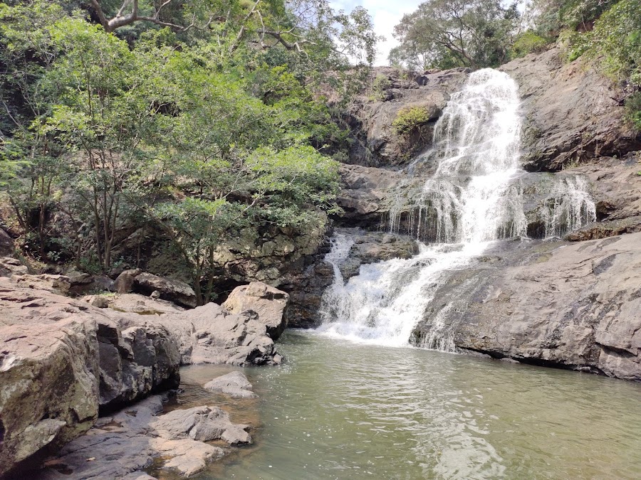 Pachamalai Hills - Photo 4