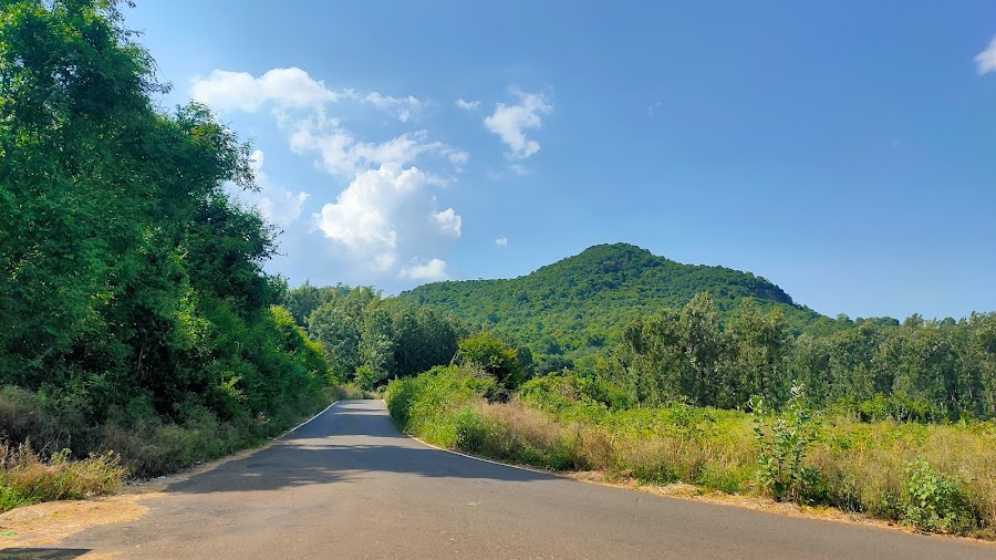 Pachamalai Hills - Photo 3