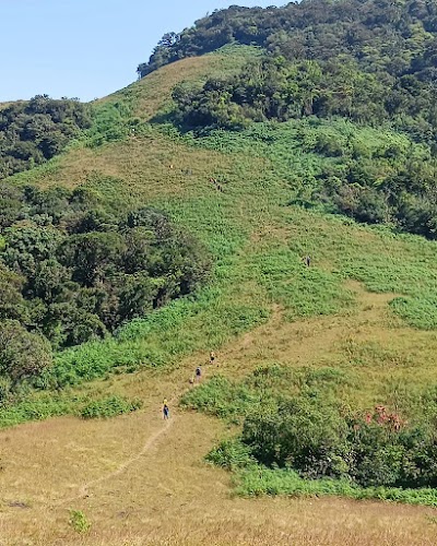 Narasimha Parvatha Trek - Photo 4