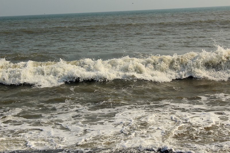 Shankarpur Beach - Photo 9