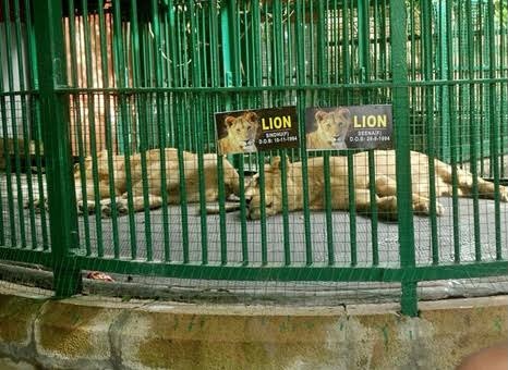 Thiruvananthapuram Zoo - Photo 4