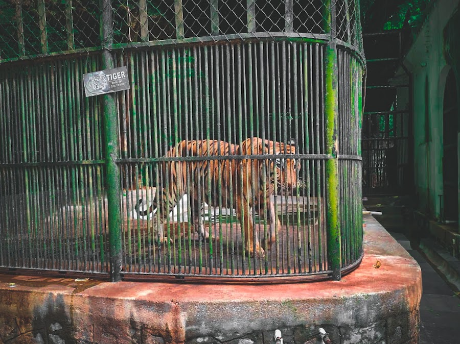Thiruvananthapuram Zoo - Photo 3