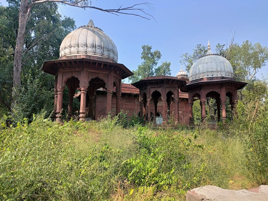 Shalimar Garden - Photo 3