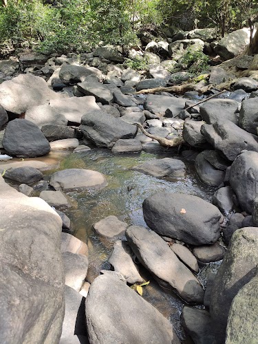 Sapthagundala Waterfalls - Photo 10