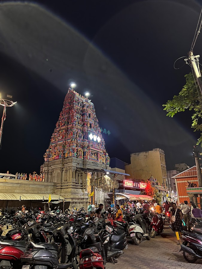 Arudra Kabaliswarar Temple - Photo 4