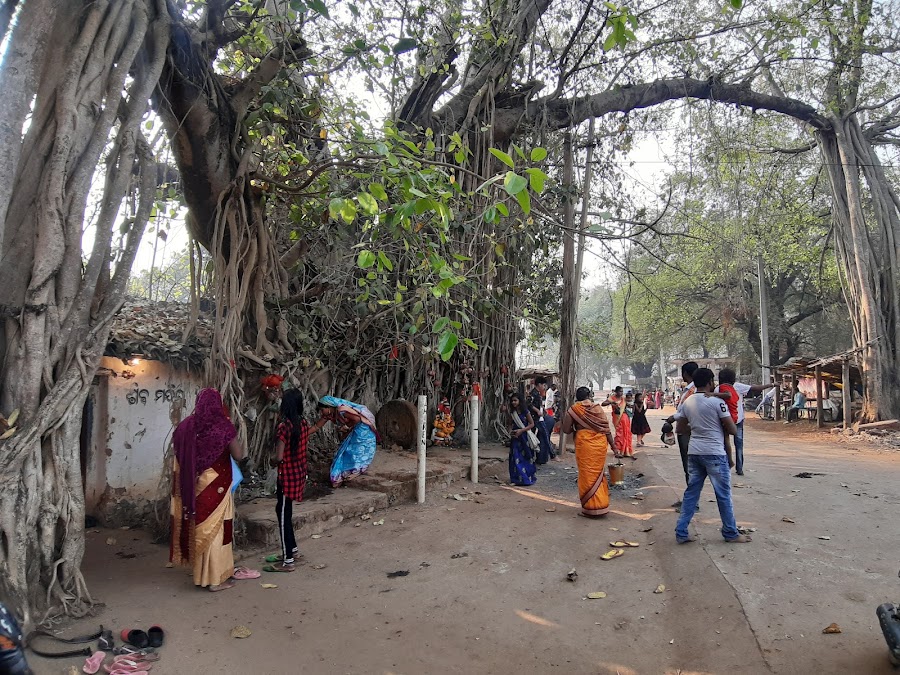 Patal Ganga - Photo 4