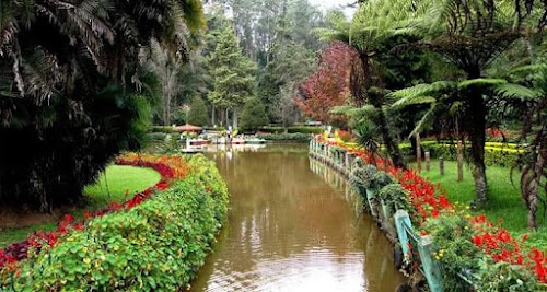Coonoor - Photo 3
