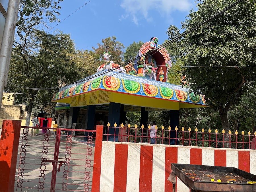 Varuna Lingam - Photo 4
