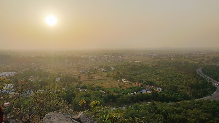 Canary Hill - Photo 3