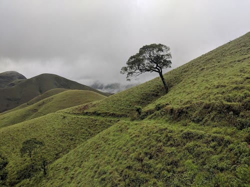 Kudremukh National Park - Photo 3