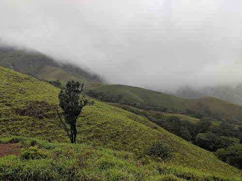 Kudremukh National Park - Photo 2
