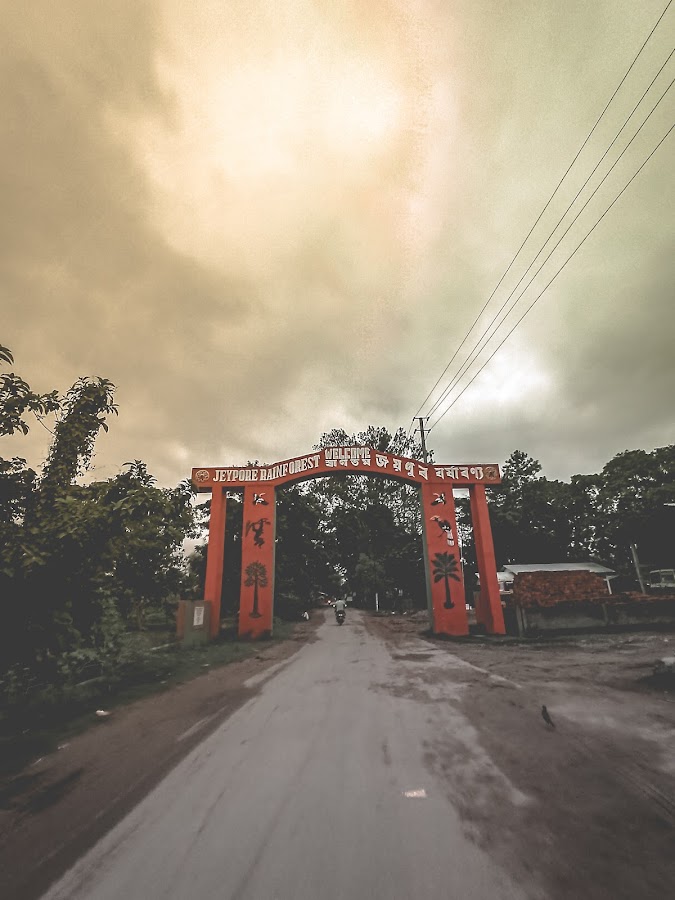 Joypur Rainforest - Photo 3