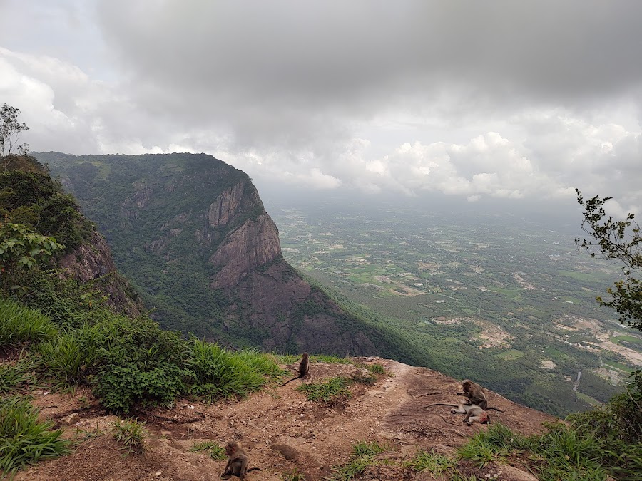 Nelliyampathy Hills - Photo 3