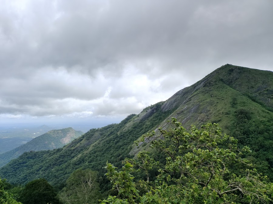 Nelliyampathy Hills - Photo 2