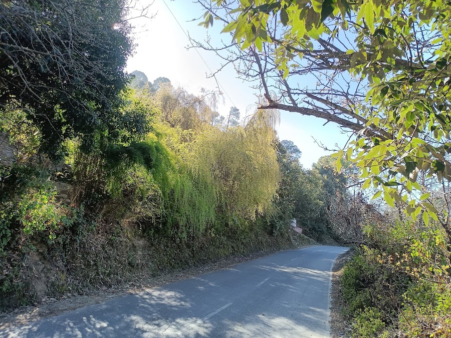 Peora - Photo 4